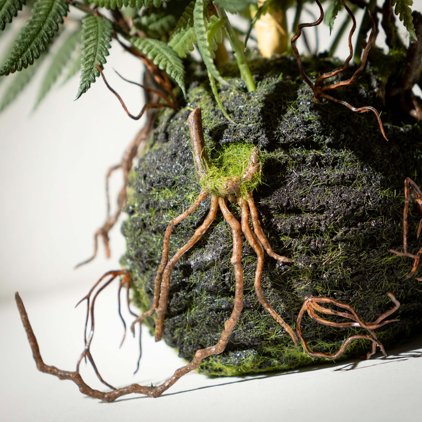 Fern in Ball
