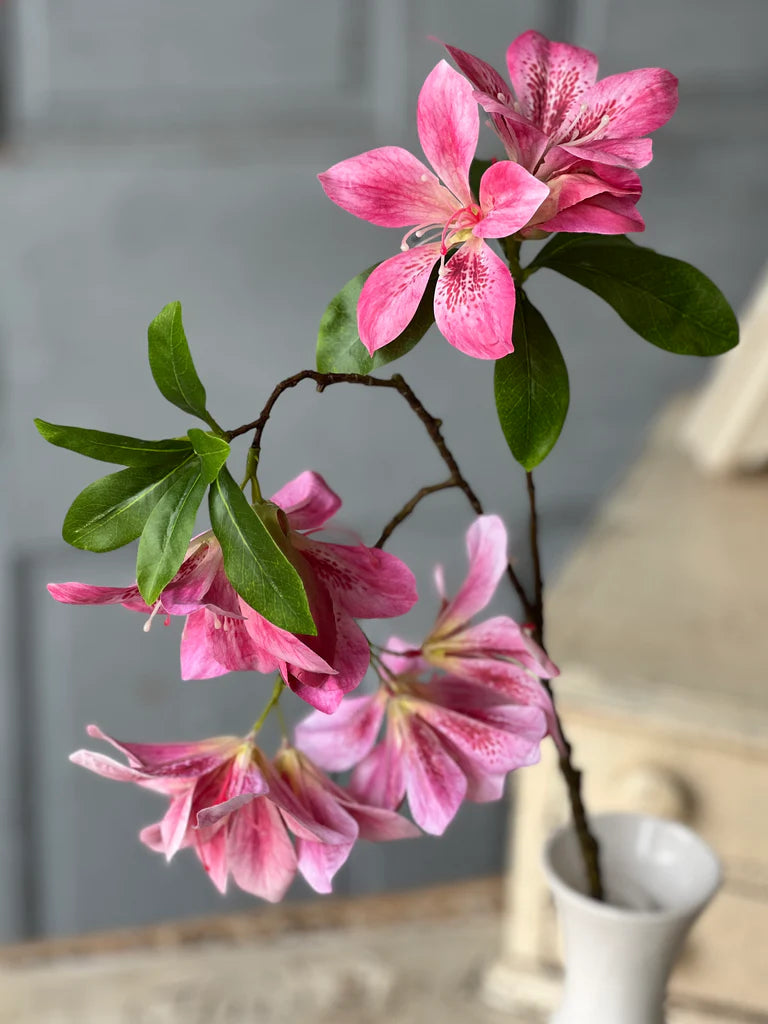 Adeline Azalea | 20" | Pink