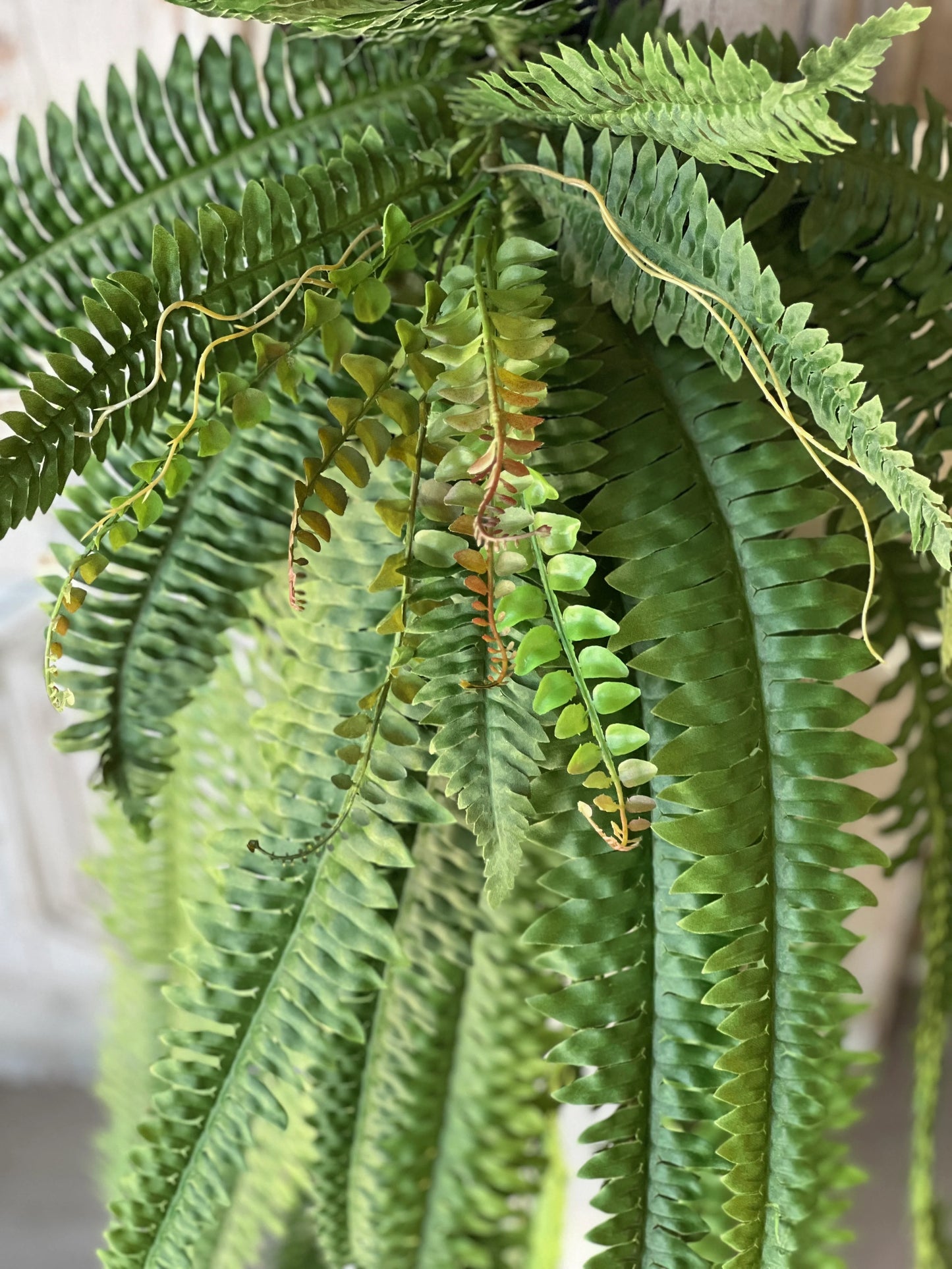 48" Niagara Fern Cascade