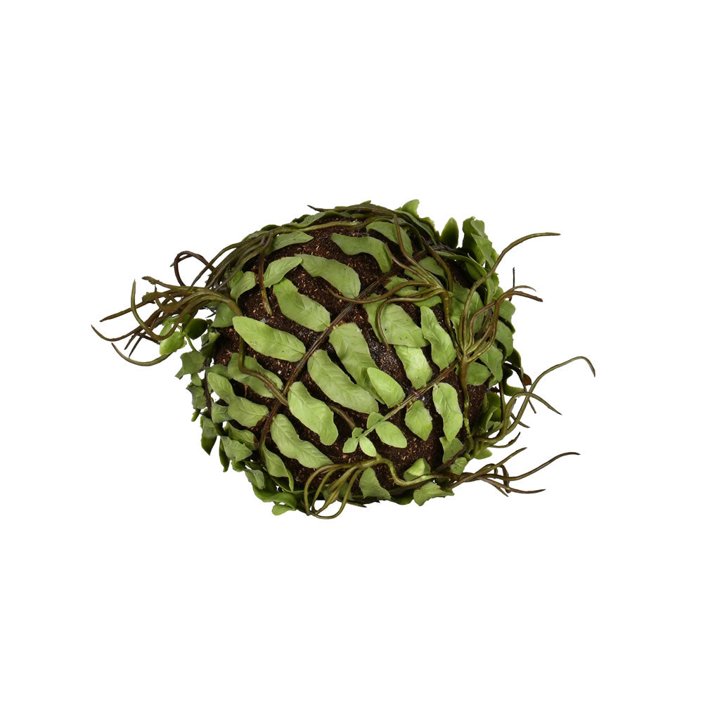 4" Fern Ball