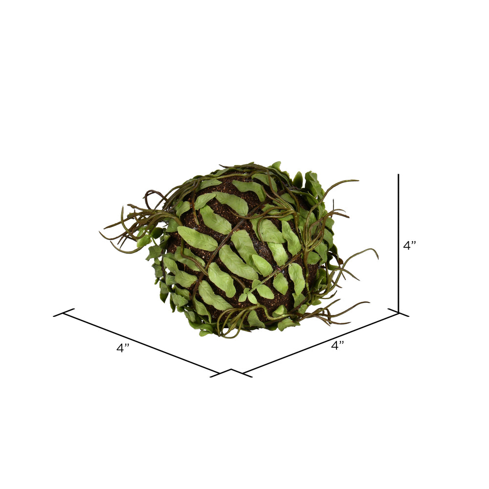 4" Fern Ball