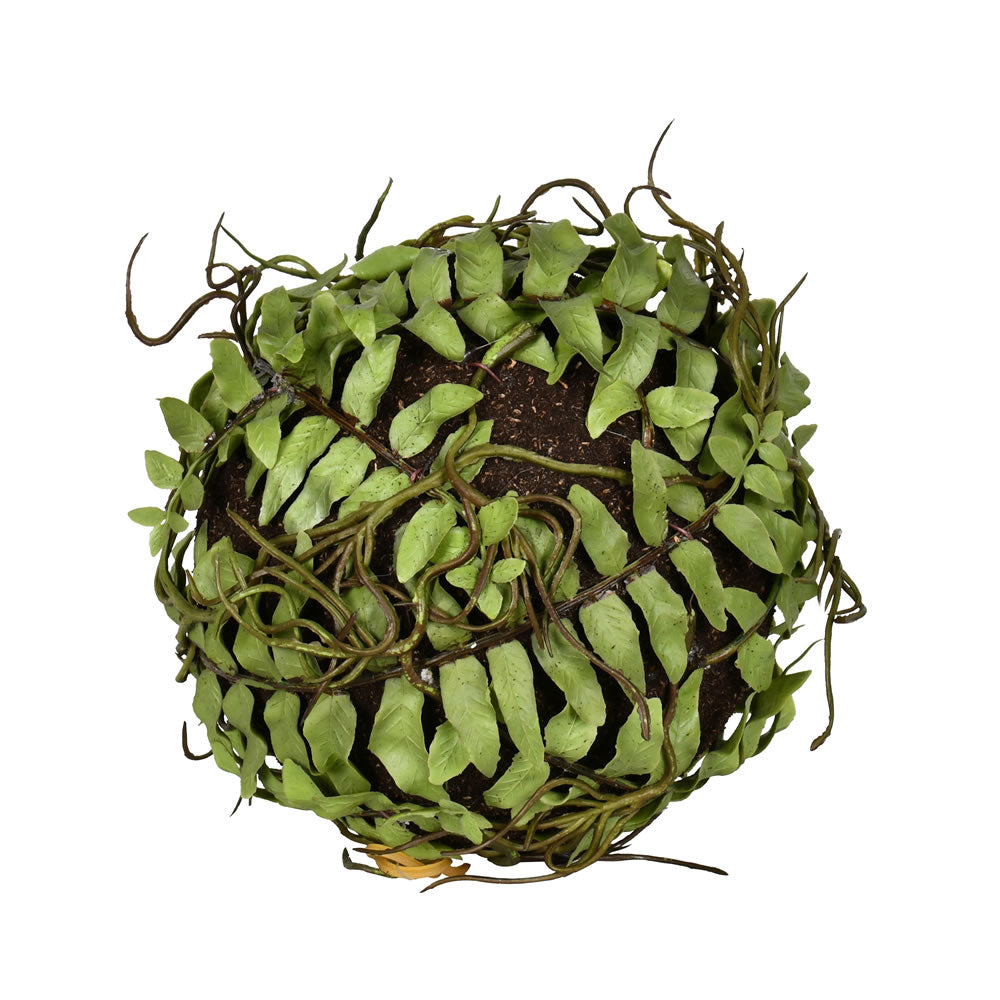 5" Fern Ball