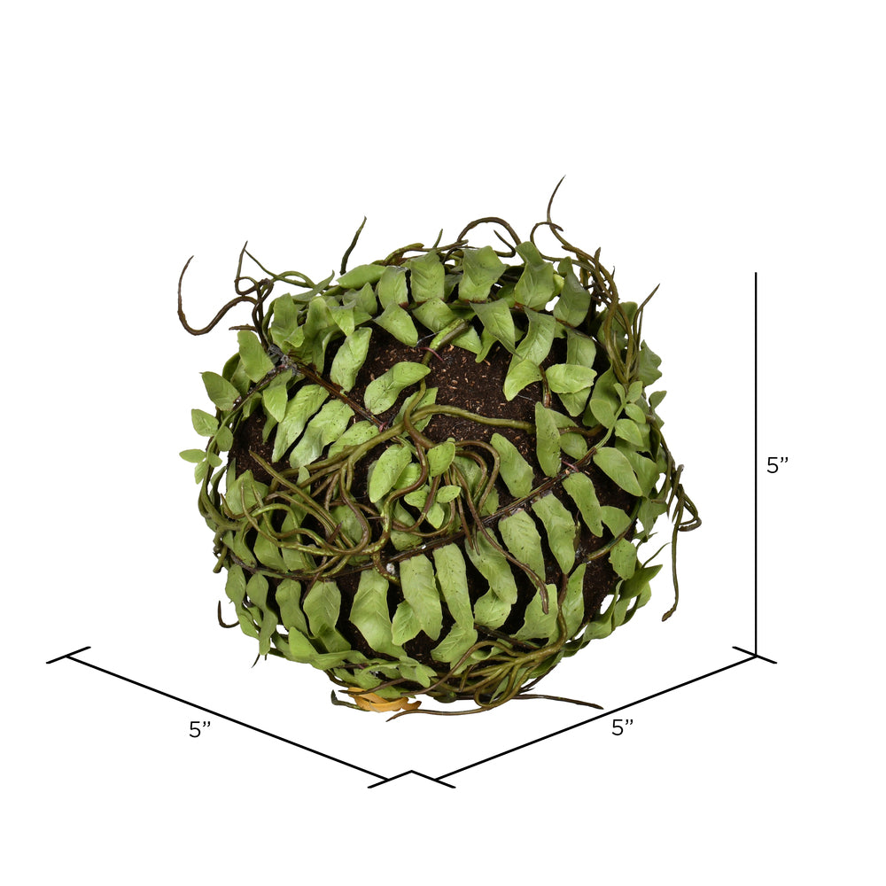 5" Fern Ball