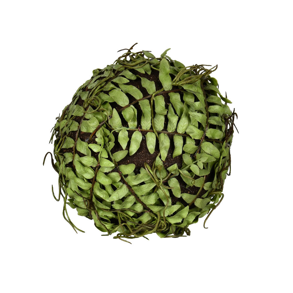 6" Fern Ball