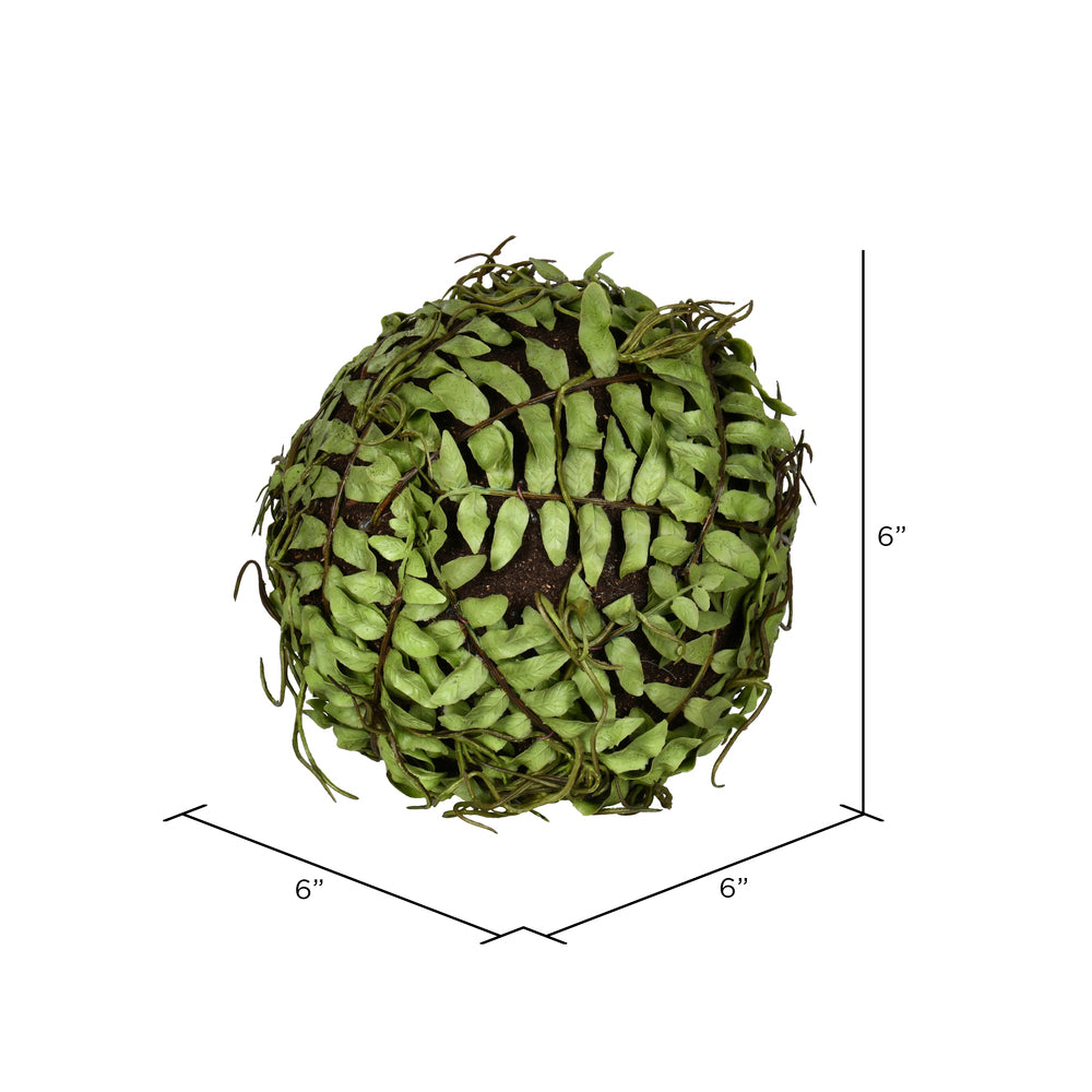 6" Fern Ball