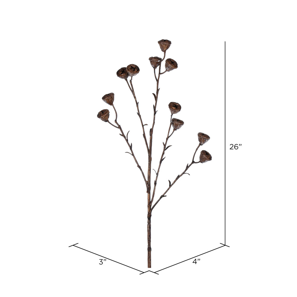 Brown Labill Spray