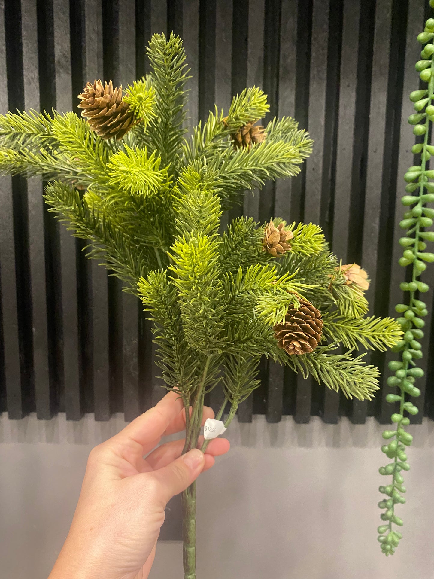 16.5" Angel Pine Bush