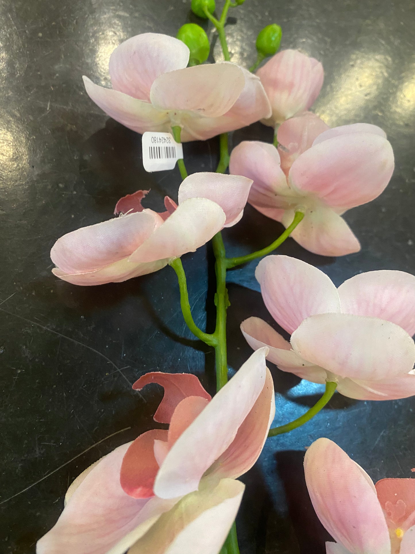 35" Dusty Pink Real Touch Orchid Stem