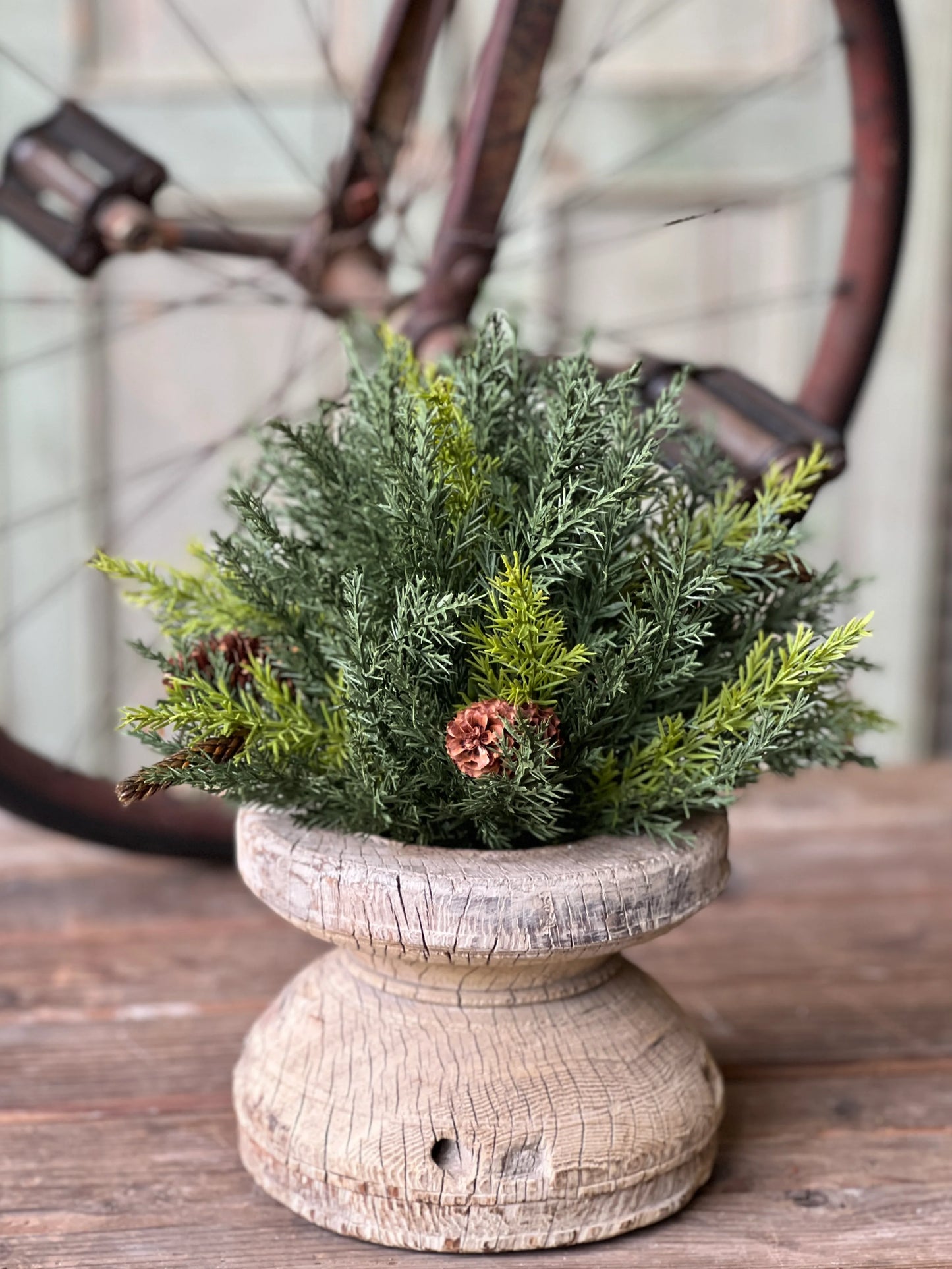 12" Prickly Pine Half Sphere