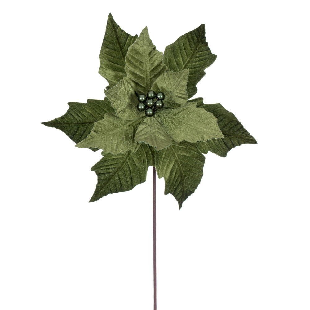 Velvet Poinsettia