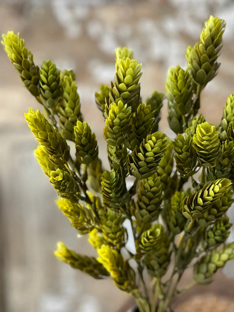 15" Hops Bush-Green