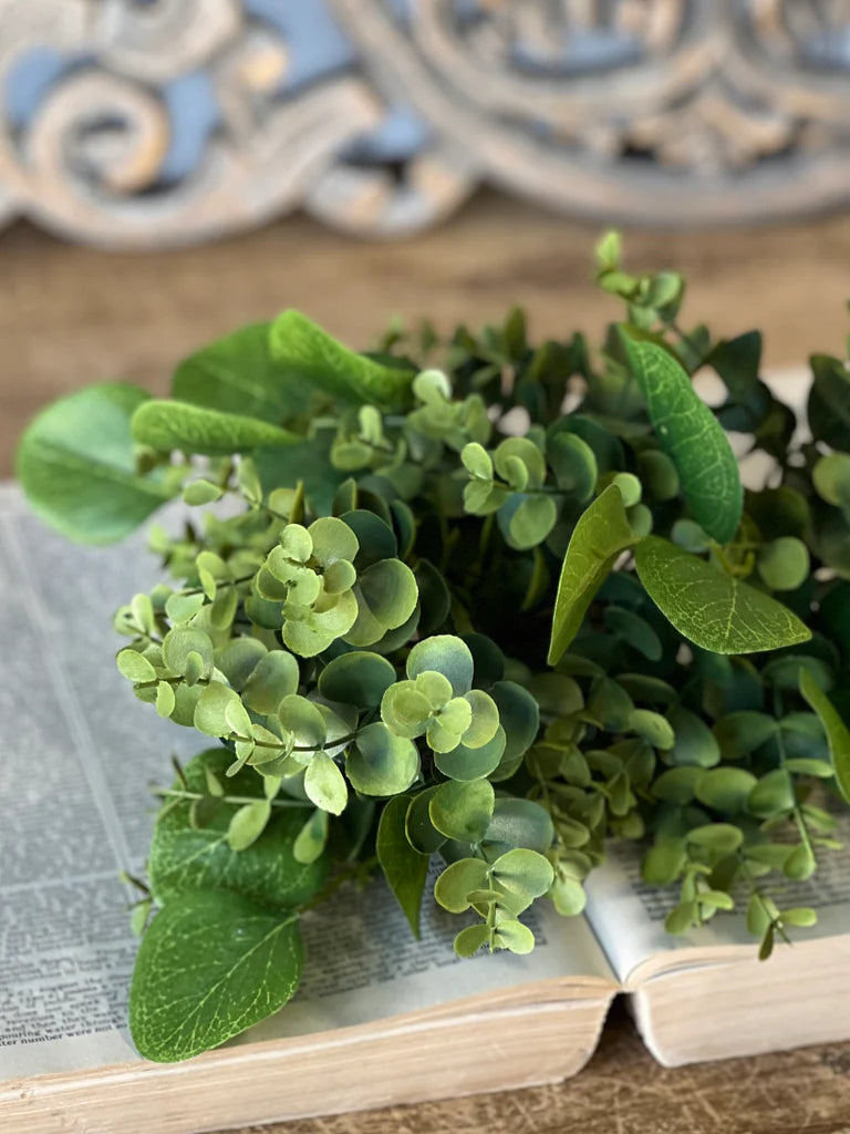 16" Ashford Eucalyptus Bush