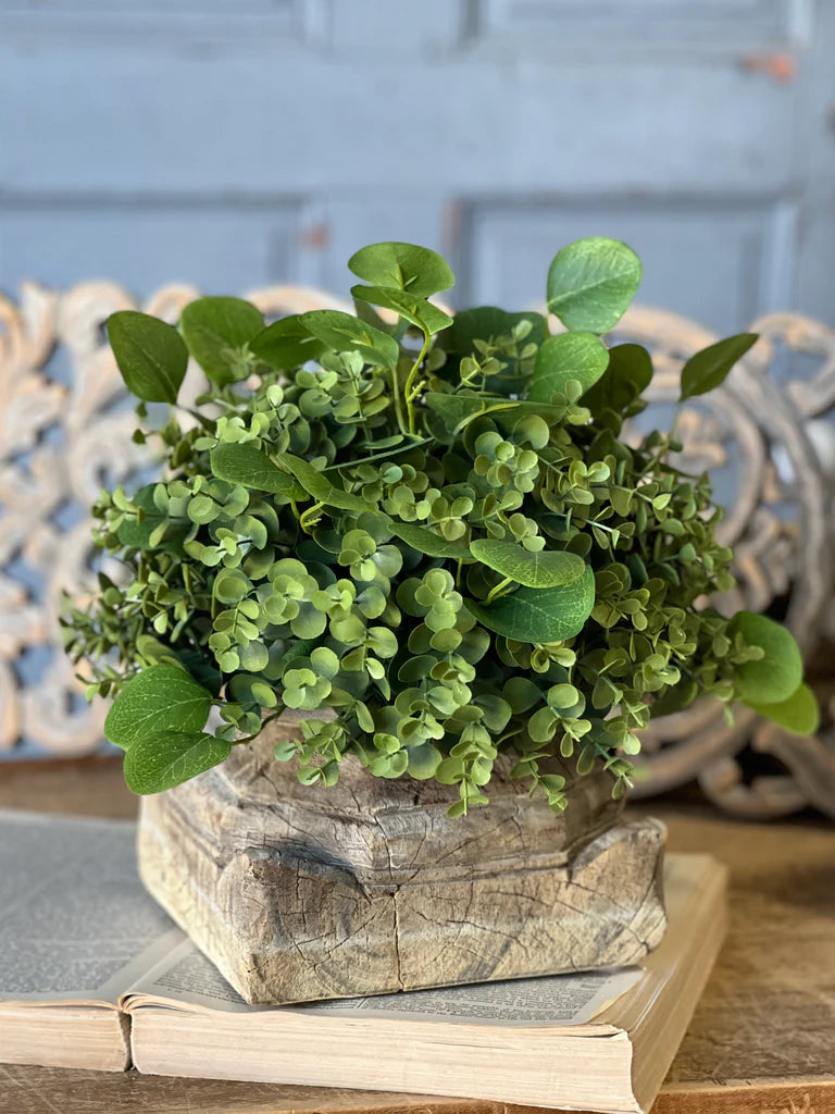 Ashford Eucalyptus Half Sphere | 12"