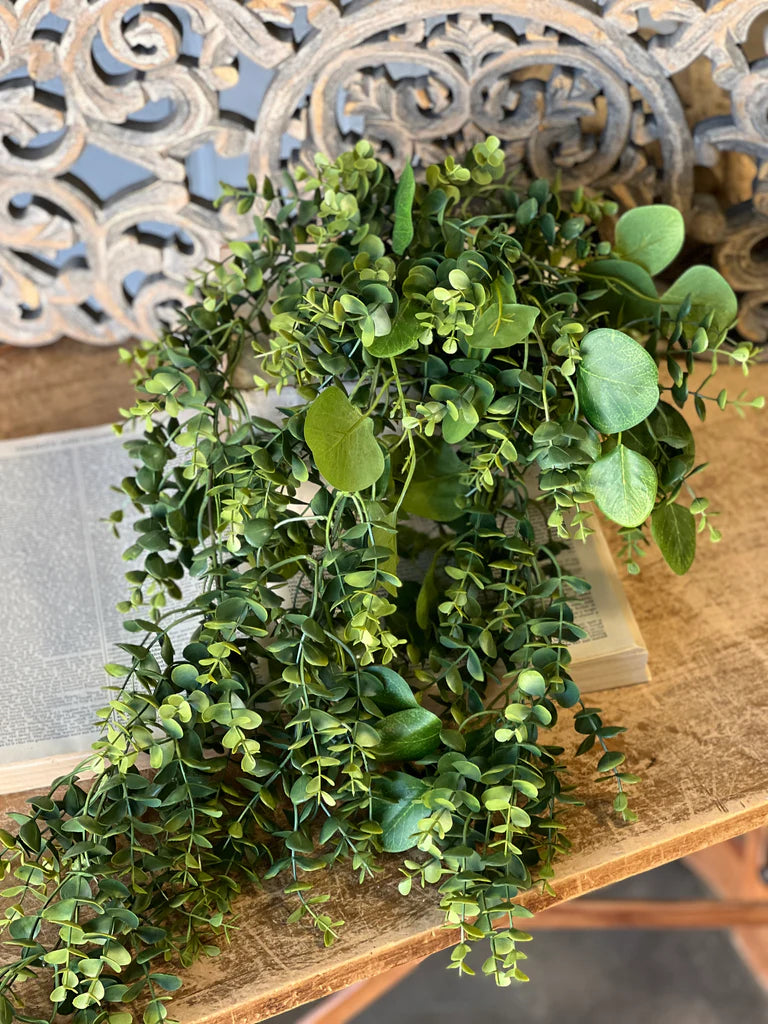 30" Ashford Eucalyptus Hanging