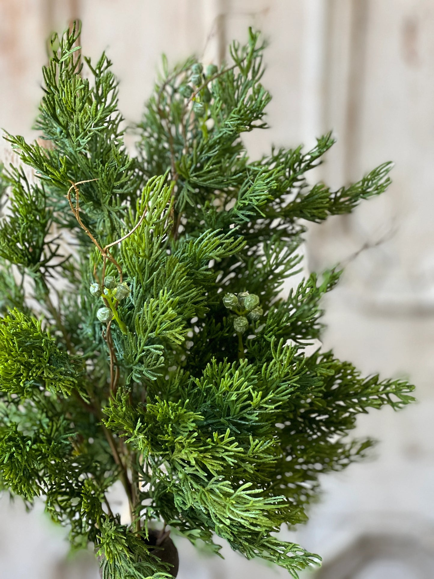 17" Dripping Cedar Bush