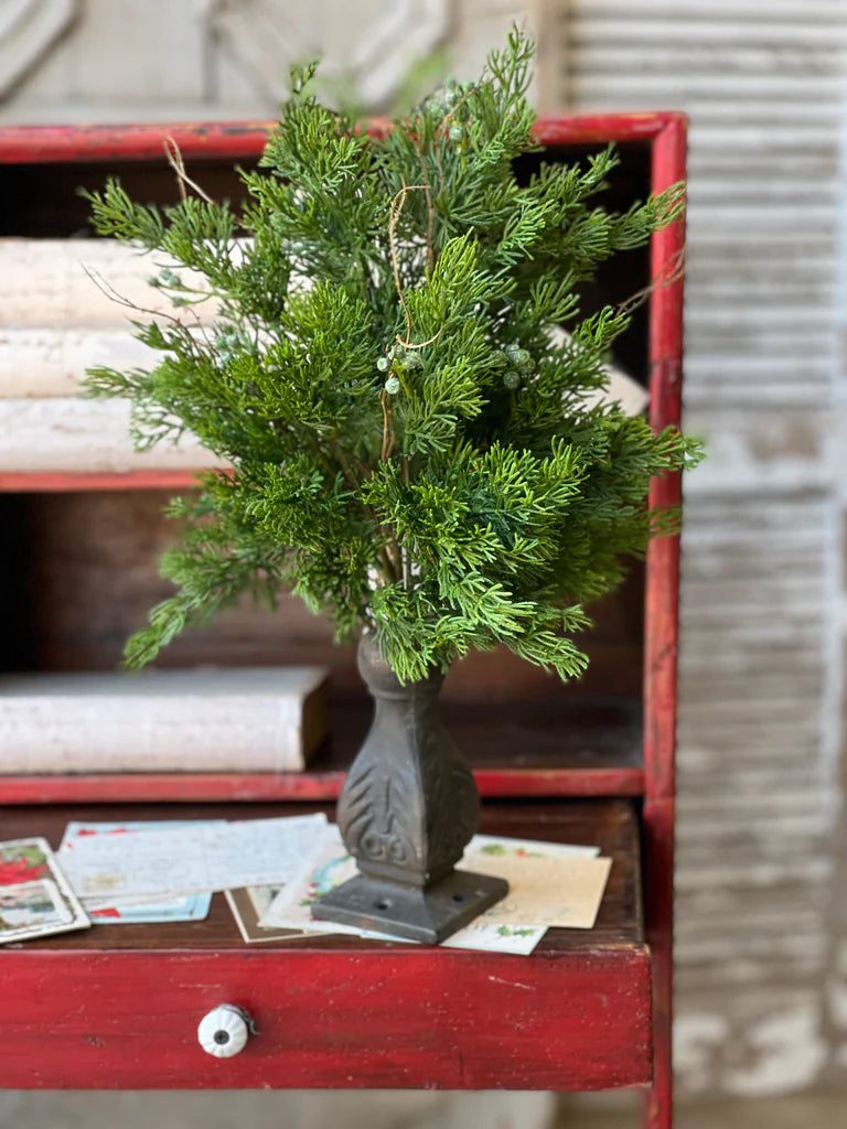 17" Dripping Cedar Bush