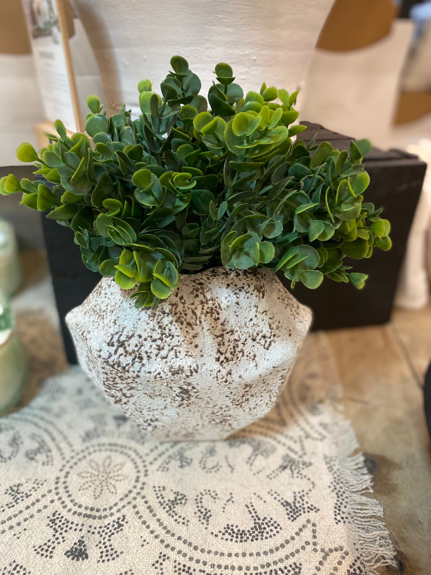 SUCCULENT BUSH NATURAL TOUCH