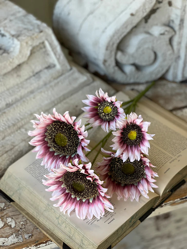 Blushery Sunflower Bush | 17"