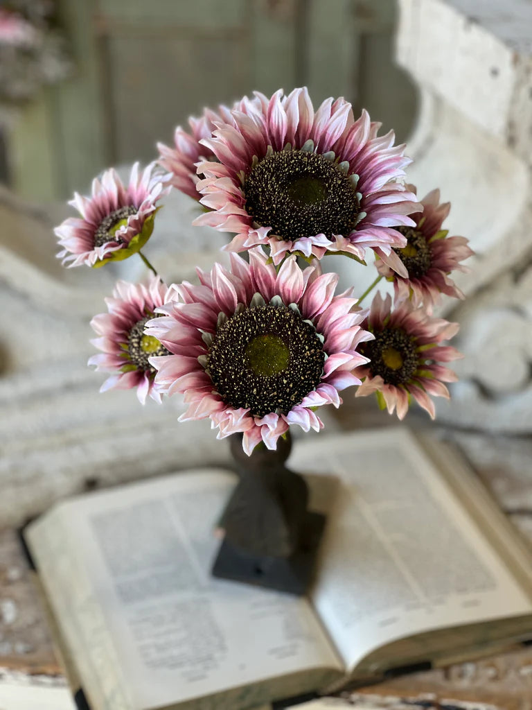 Blushery Sunflower Bush | 17"