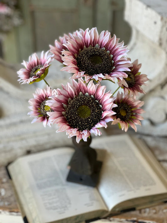 Blushery Sunflower Bush | 17"