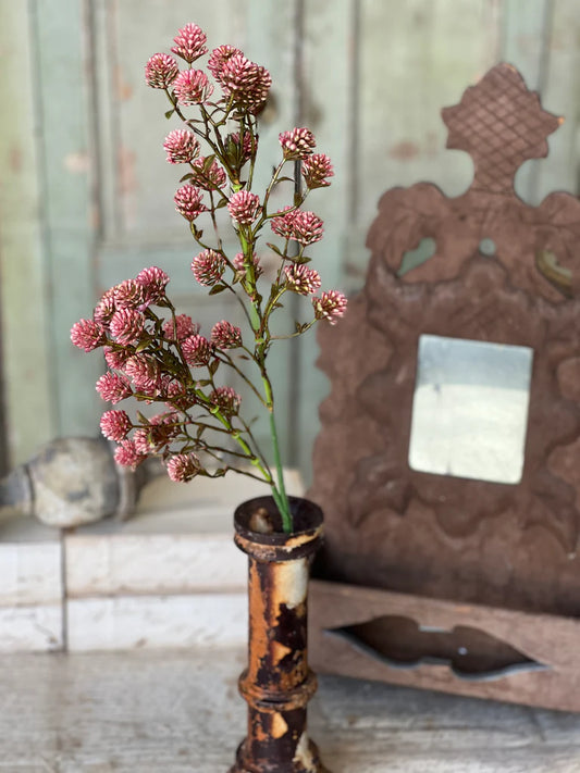 Wil-O-Wisp Spray | 25"