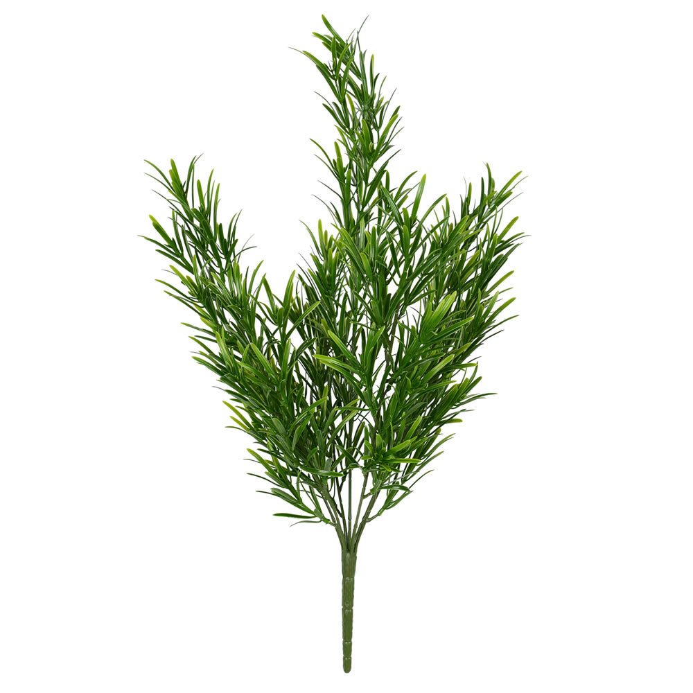 UV Resistant 19" Podocarpus Bush