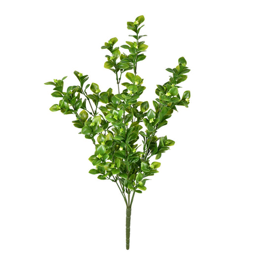 UV Resistant 18" Green Boxwood Bush