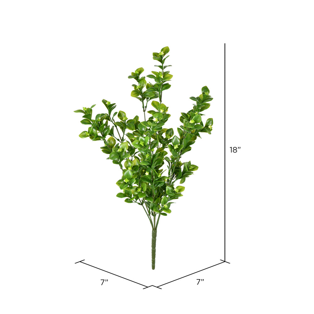 UV Resistant 18" Green Boxwood Bush