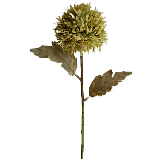 Chrysanthemum 14" Green