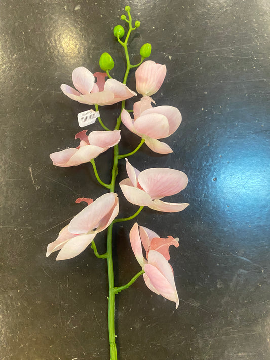 35" Dusty Pink Real Touch Orchid Stem