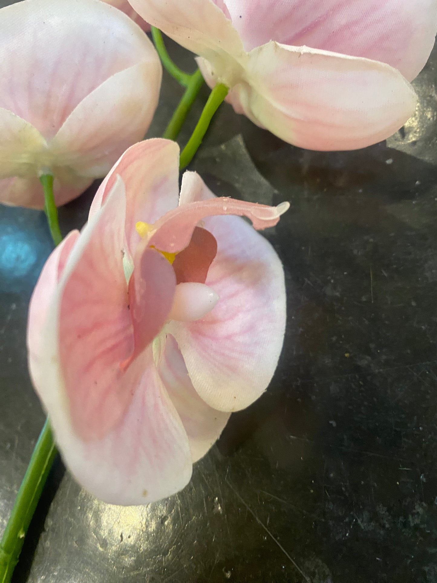 35" Dusty Pink Real Touch Orchid Stem