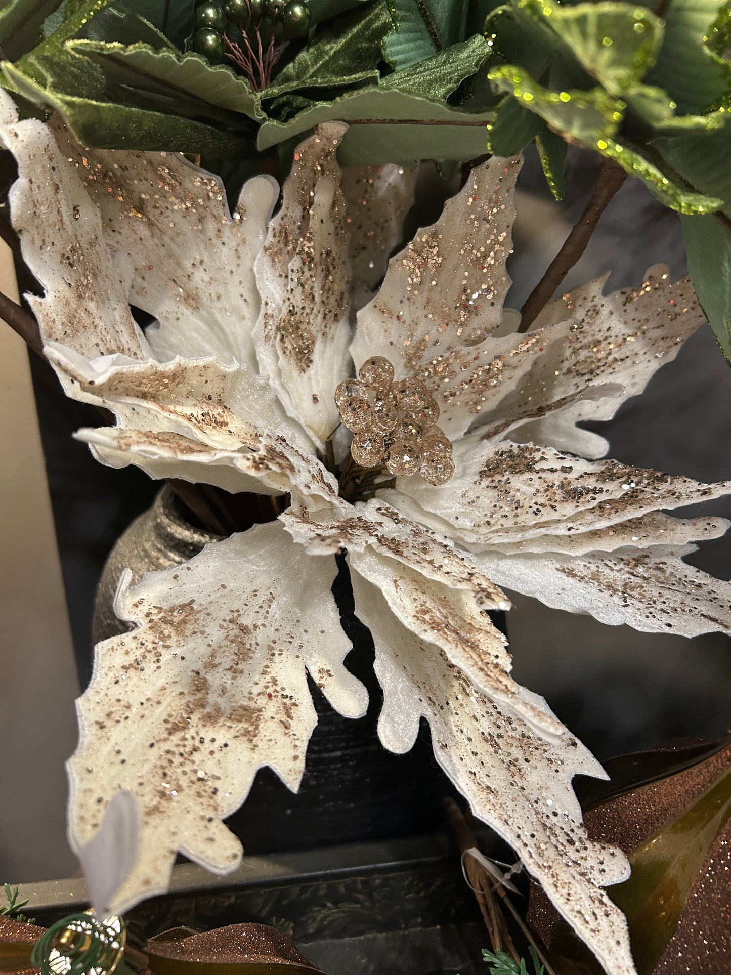Champagne Poinsettia