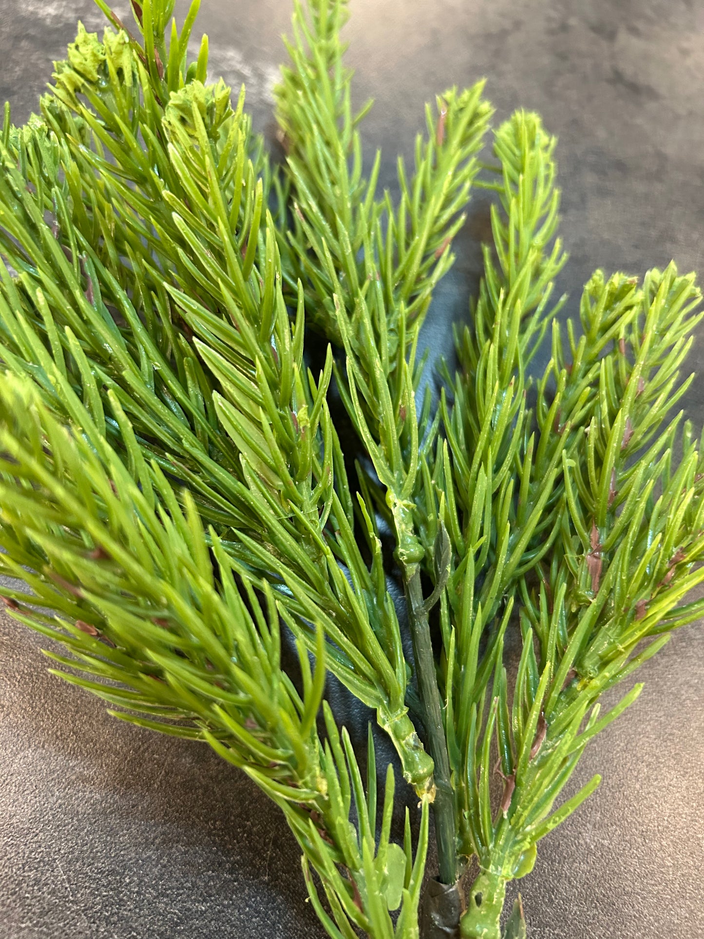 19" Pine Spray