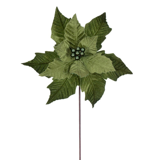 Velvet Poinsettia