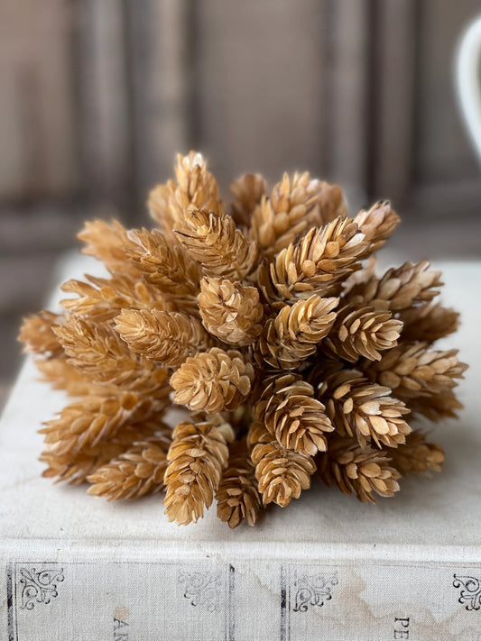 7"  Hops Half Sphere Beige