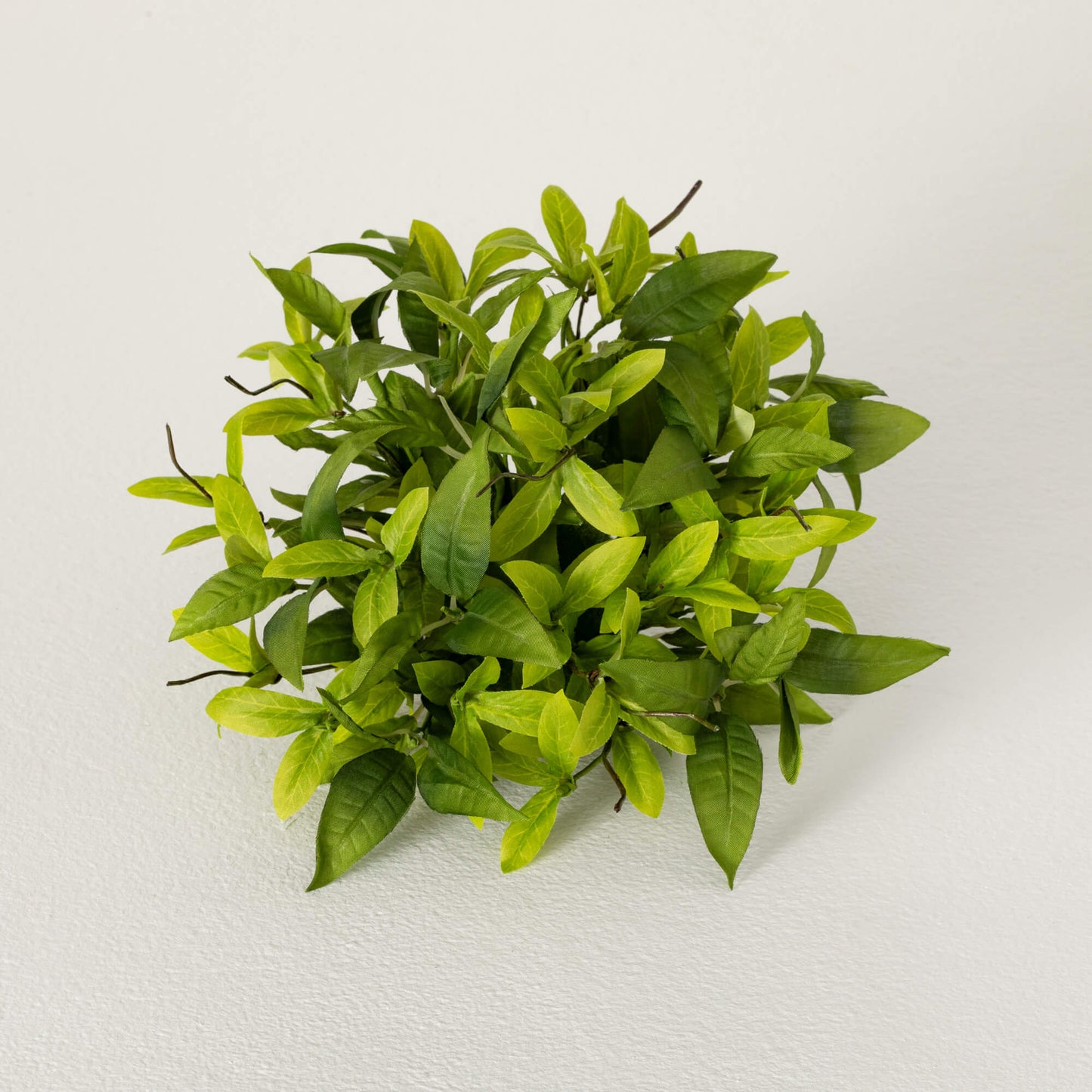 RUSCUS & TWIG ORB
