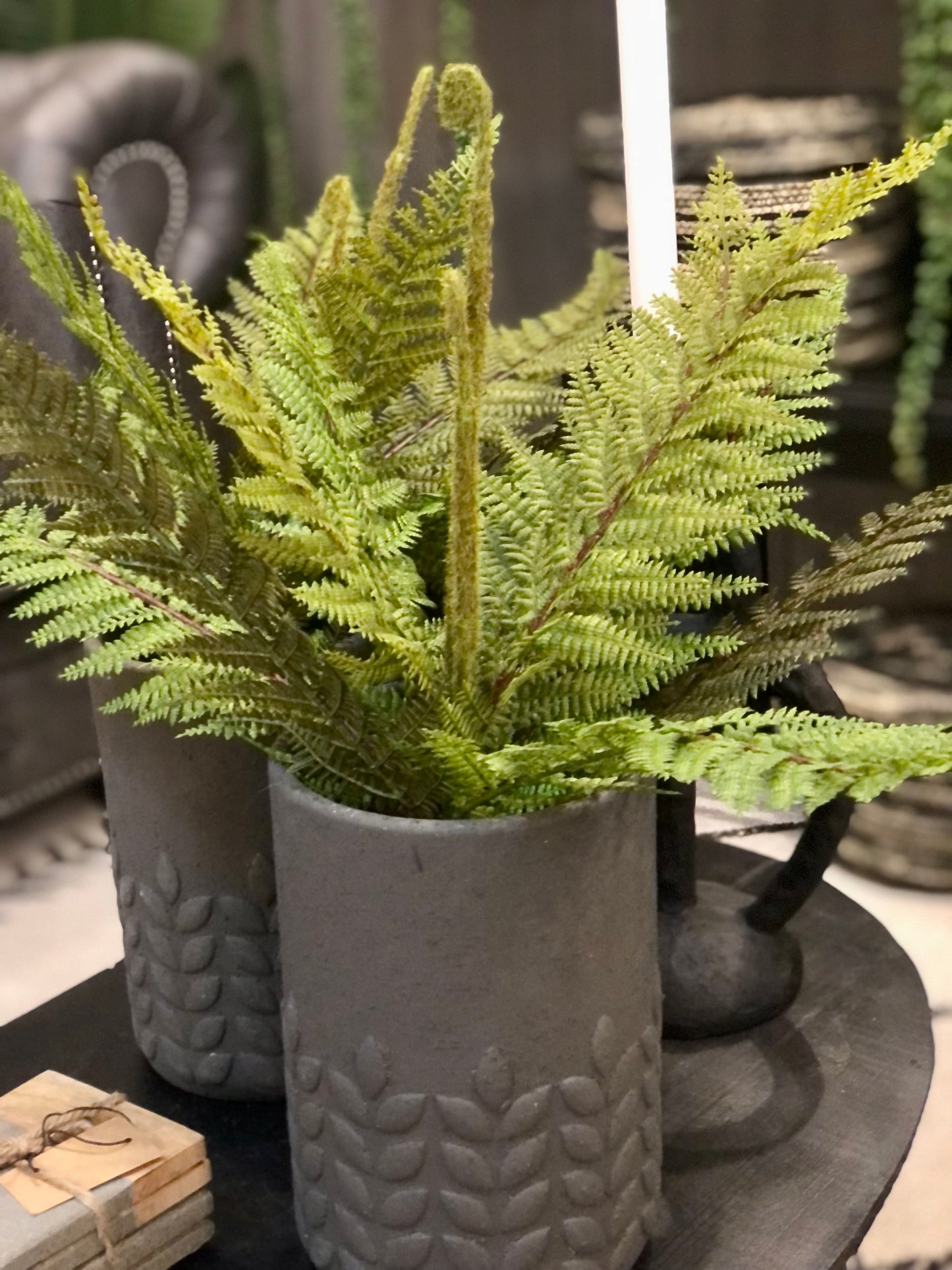 Fern Bush 19"H